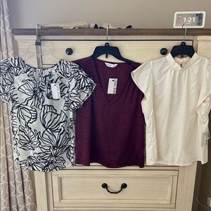 Nine West Short Sleeved Blouse Collection - SET OF THREE!!